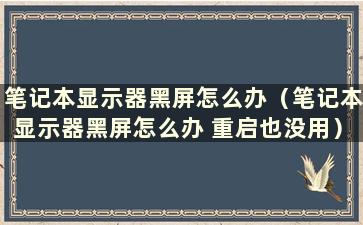 笔记本显示器黑屏怎么办（笔记本显示器黑屏怎么办 重启也没用）